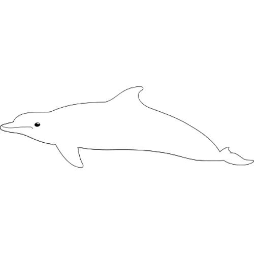 Kolorowanka delfin 2
