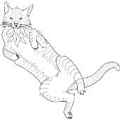 Kolorowanka koty - kot
