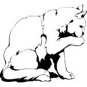 Kolorowanka - kot myje si�