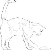 Kolorowanka - kot z mysz�