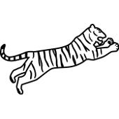 Kolorowanka kot skok tygrysa