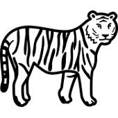 Kolorowanka kot tygrys 2