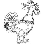 Kolorowanka - kogut 7