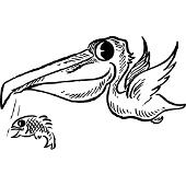 Kolorowanka - pelikan z rybą
