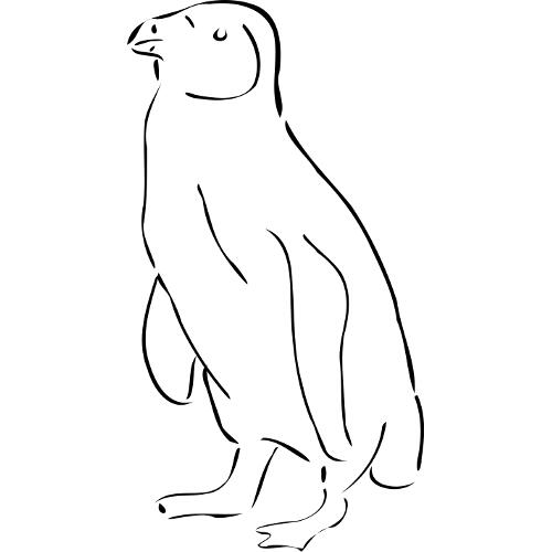 Kolorowanka ptaki – pingwin -2