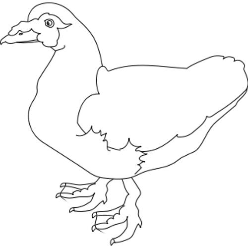 Kolorowanka - ptak jak kura