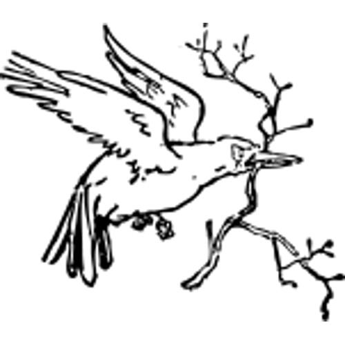 Kolorowanka ptaki – ptak z - gazk
