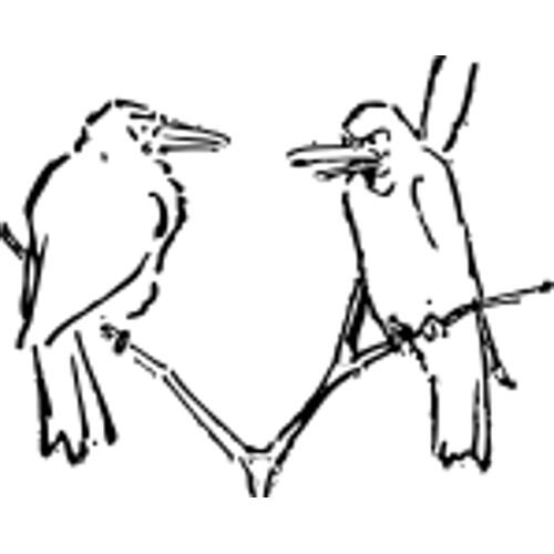 Kolorowanka ptaki – rozmowy ptakw