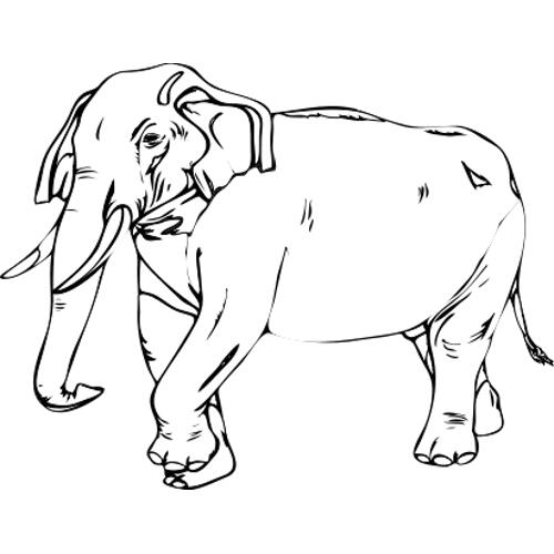 Kolorowanka - du�y s�o�