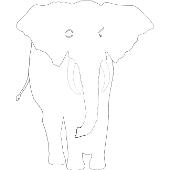 Kolorowanka do druku s�o�