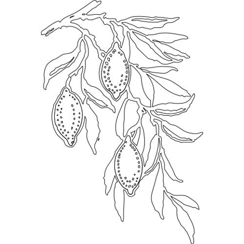 Kolorowanka - drzewo cytrynowe