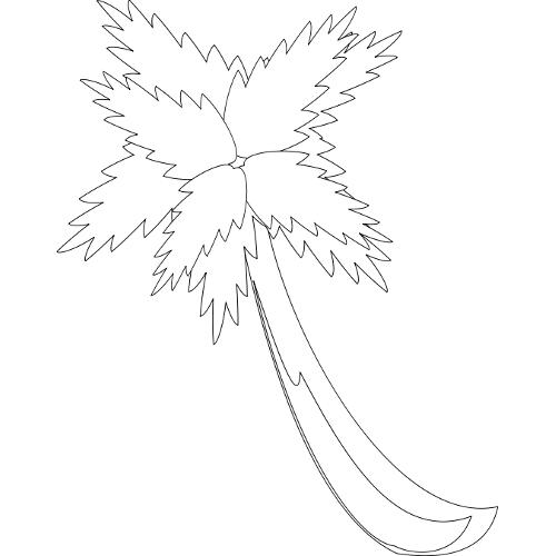 Kolorowanki drzewa - drzewo palmowe 2