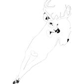 Kolorowanki jelenie - jele� 5