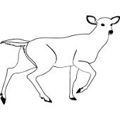 Kolorowanki jelenie - jele� 6