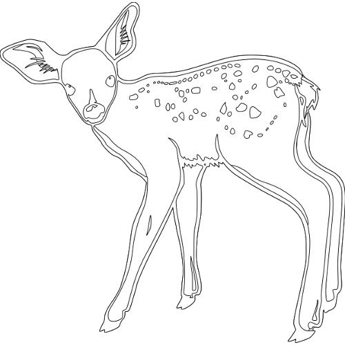 Kolorowanki jelenie - sarenka 3