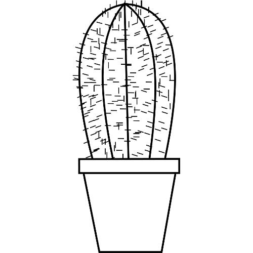 Kolorowanki kaktusy - kaktus w doniczce