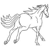Kolorowanka konie - biegncy ko