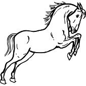 Kolorowanki konie - koń