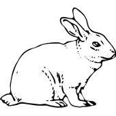 Kolorowanki - królik