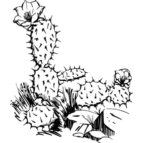 Kolorowanki kwiaty kaktus