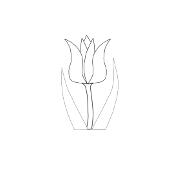 Kolorowanki kwiaty - prosty tulipan