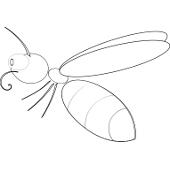 Kolorowanki owady pszczo�a 2