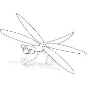 Kolorowanki owady - wa�ka