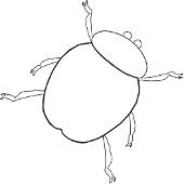 Kolorowanki owady - �uczek