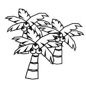 Kolorowanki palmy