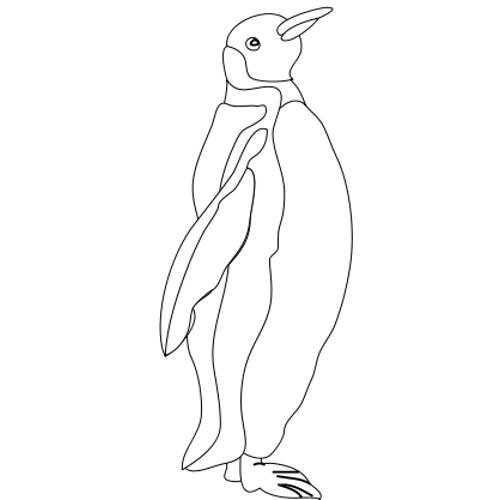 Kolorowanki pingwiny - pingwin