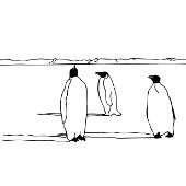 Kolorowanki pingwiny