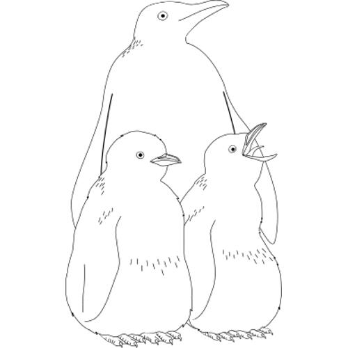 Kolorowanki pingwiny - ptak
