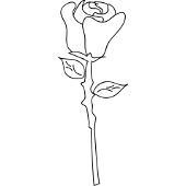 Kolorowanka róża