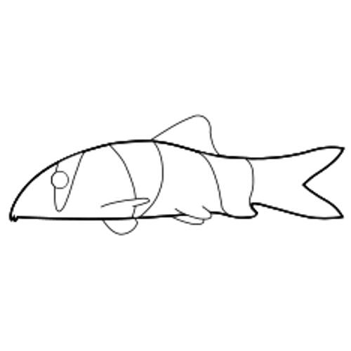 Kolorowanki - ryba 11