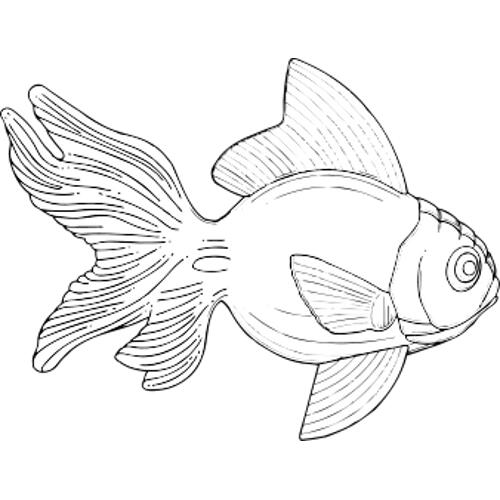 Kolorowanki - ryba 12