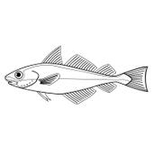 Kolorowanki - ryba 28