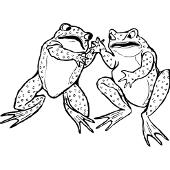 Kolorowanki - dwie żabki