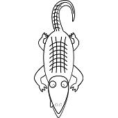 Kolorowanki zwierz�ta egzotyczne - aligator 1