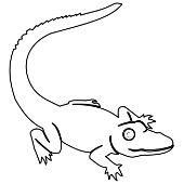 Kolorowanka - aligator 3