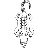 Kolorowanka - aligator