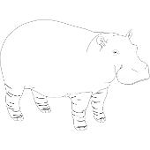 Kolorowanki - hipopotam 2