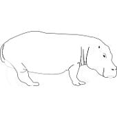 Kolorowanki - hipopotam 3