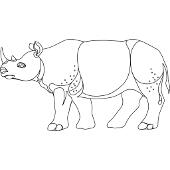 Kolorowanki zwierzta egzotyczne nosoroec 5