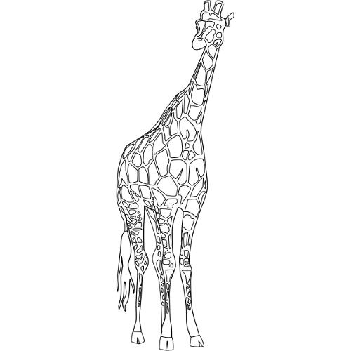 Malowanka �yrafa