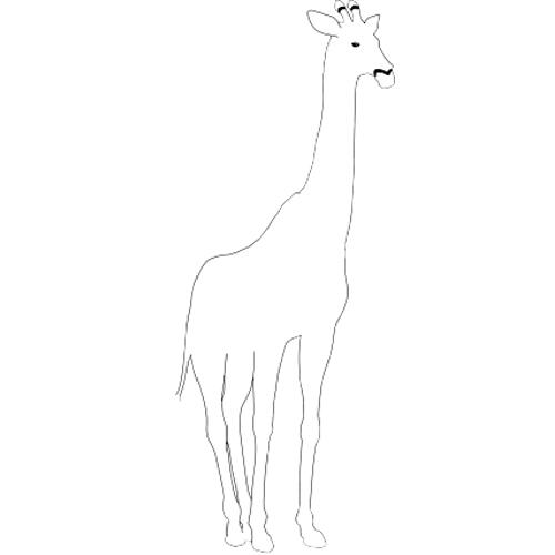 Kolorowanki �yrafy