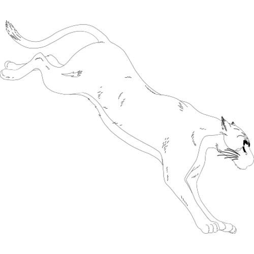 Malowanki du�e koty - tygrys 5