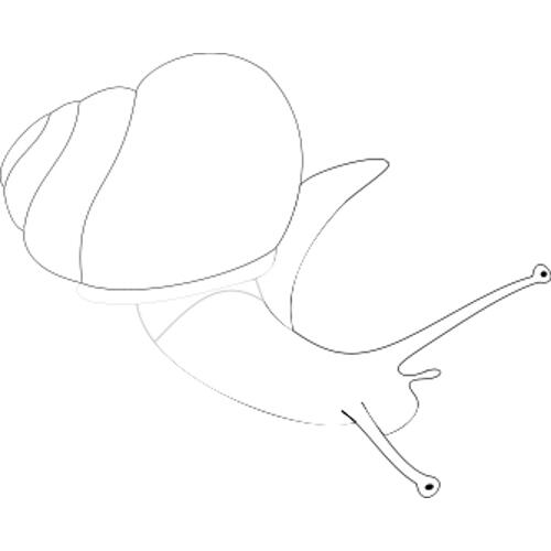 Kolorowanka do druku - �limak