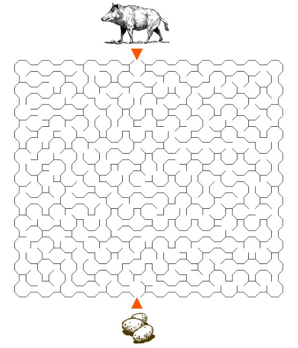 Labirynty o�miok�tne trudne dzik do wydruku