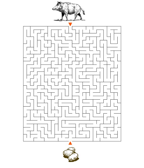 Labirynty dla dzieci trudne dzik - ziemniaki