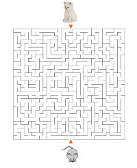 Labirynty trudne dla dzieci kot i mysz